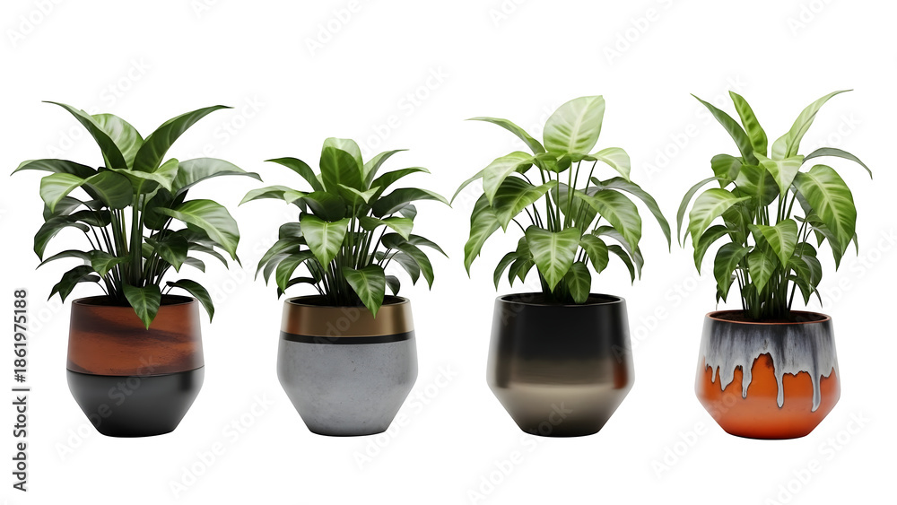 Fototapeta premium Four potted plants isolated on transparent background
