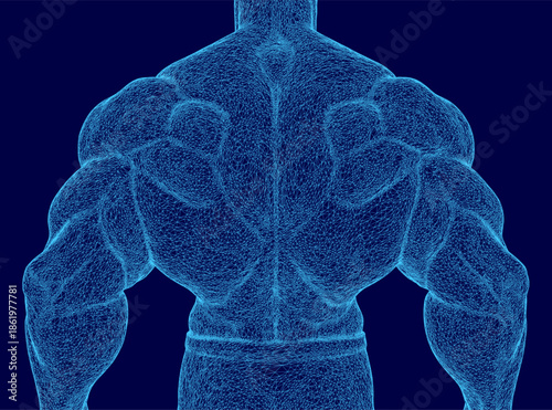 A 3D wireframe of a bodybuilder's back reveals intricate muscular and joint anatomy against a solid blue background. This athletic figure visualization is ideal for fitness and medical concepts.