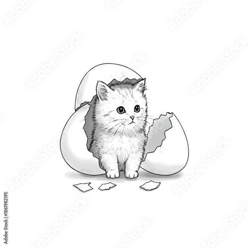 New Beginnings Kitten