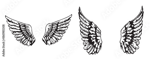 wings hand drawn detailed wings collection