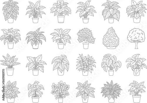Collection of outline drawings of various potted plants