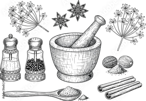 A collection of culinary spices and herbs for grinding and seasoning