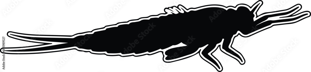 Obraz premium Silhouette Mayfly Nymph Larva Aquatic Insect Outline Predator Bug Vector Illustration