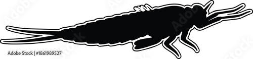 Silhouette Mayfly Nymph Larva Aquatic Insect Outline Predator Bug Vector Illustration