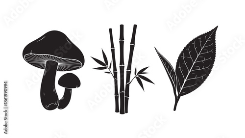 Black and white botanical illustrations of mushrooms, bamboo shoots, and leaves in minimalist style for graphic design