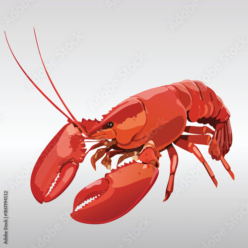 Gourmet cooked red lobster and boiled crayfish with claws and antennae isolated on a white background as a fresh prepared seafood meal