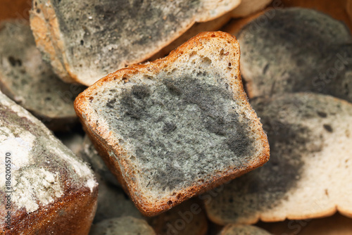 Mold on sliced bread closeup. Spoiled food with fungus texture. Unsafe bakery product. Food waste problem at home. Rotten bread slices background. Hygiene and health risk concept.