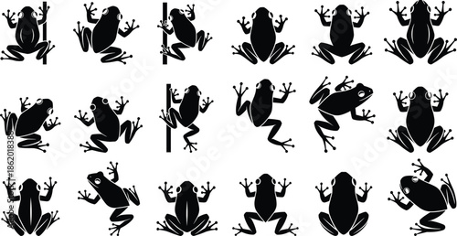 Collection of frog silhouettes in climbing sitting and jumping poses with tree frog shapes and amphibian wildlife vector illustration set