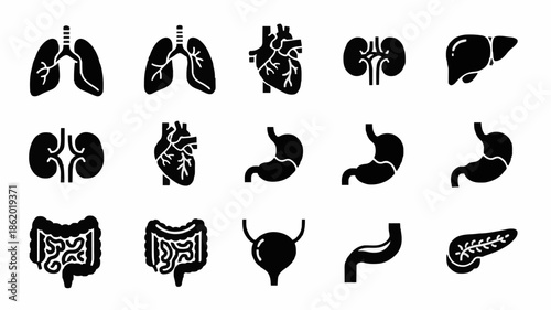 Collection of black silhouette icons depicting various human digestive system organs on a white background