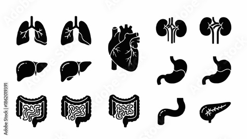 Black and white illustration set of human digestive system organs and other body parts in flat design style on a white background.
