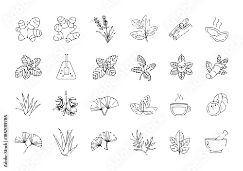Hand drawn sketch icons featuring medicinal herbs roots spices and steaming herbal tea preparation elements