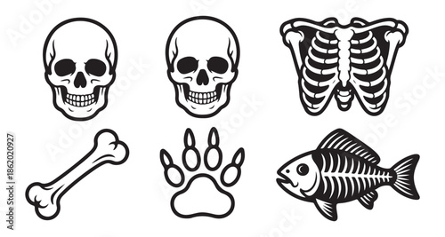 Human skull rib cage and bone vector collection with animal paw print and fish skeleton icons on white background