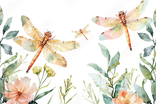 Floral Watercolor Background with Dragonflies isolated illustration