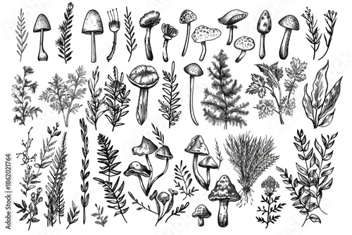 Hand draw doodle vegetation set isolated illustration