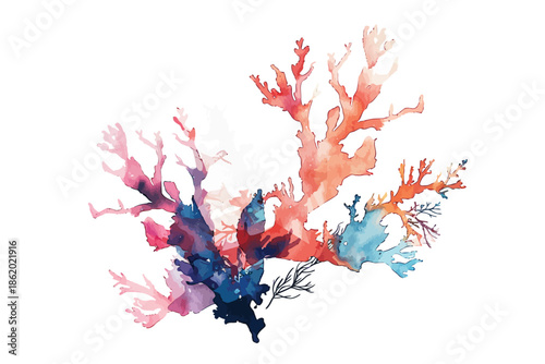Watercolor Sea Creatures with Coral isolated illustration