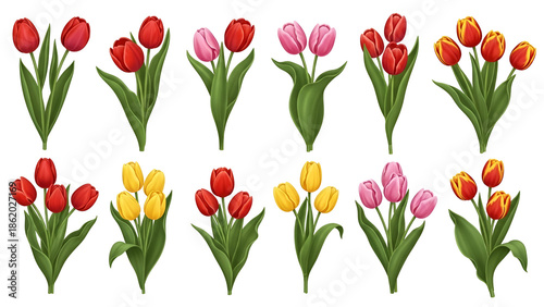 Wallpaper Mural Beautiful tulip flowers collection in various colors Torontodigital.ca