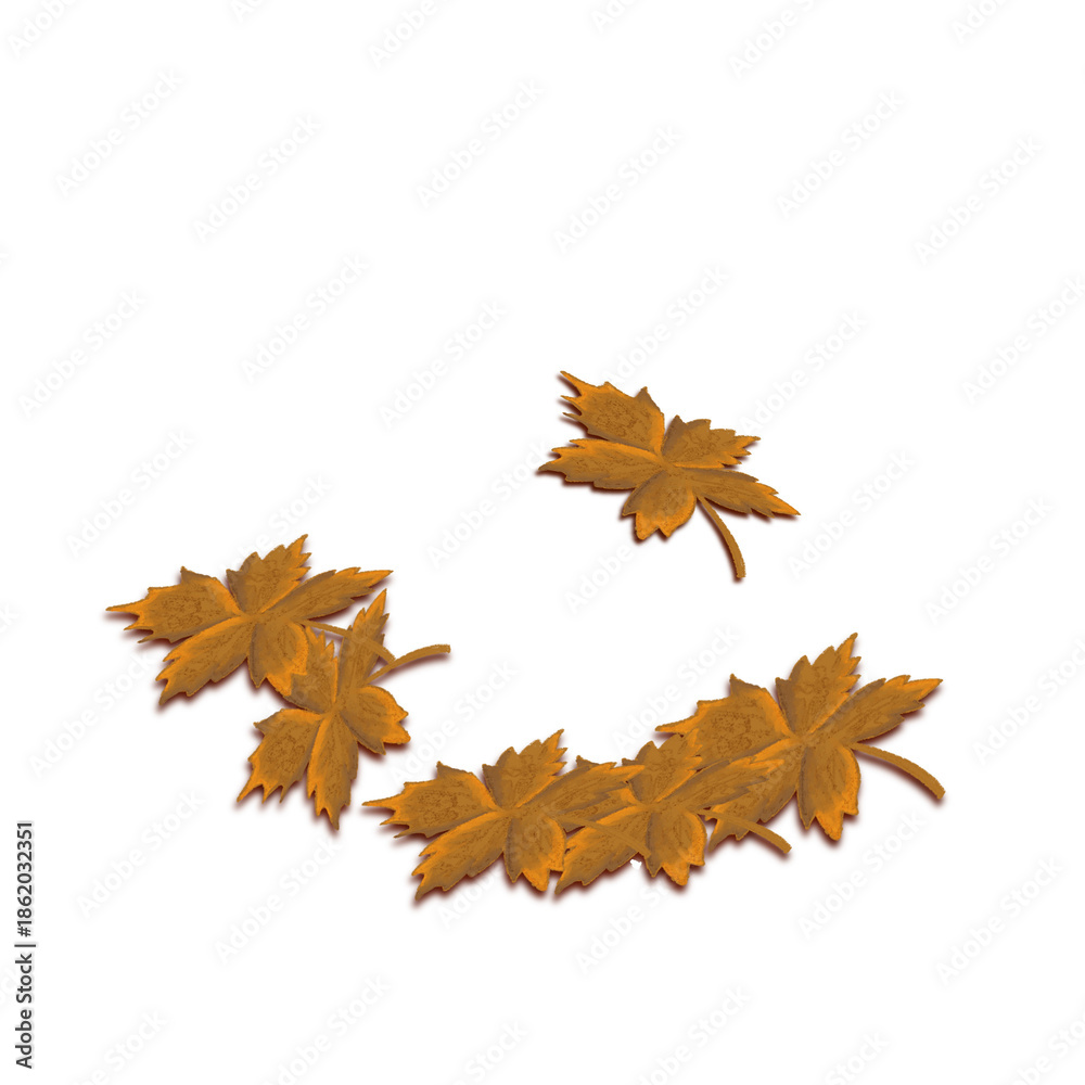 Fototapeta premium maple leaves