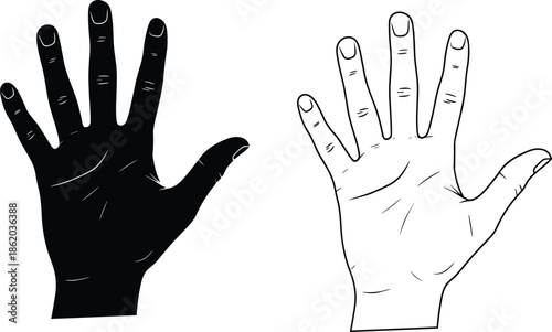 Hand Palm Line Art and Solid Black Silhouette Illustration Set with Five Fingers for Palmistry Fortune Telling and Anatomy Design