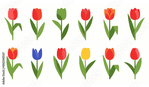 Flat colorful tulips vector collection for spring celebration and floral design