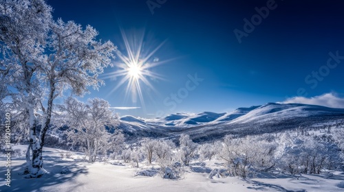 Arctic winter landscape with snow covered trees and hills under clear blue sky, bright sun casting long shadows on white ground, ice crystals on branches creating a serene and magical scene.