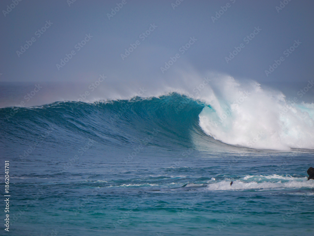 Fototapeta premium Clean wave breaks perfectly near a reef with beautiful arc of mist rising in the air. Smooth face of the wave curves into a perfect tube in ideal surf conditions. Ocean power and beauty of nature.