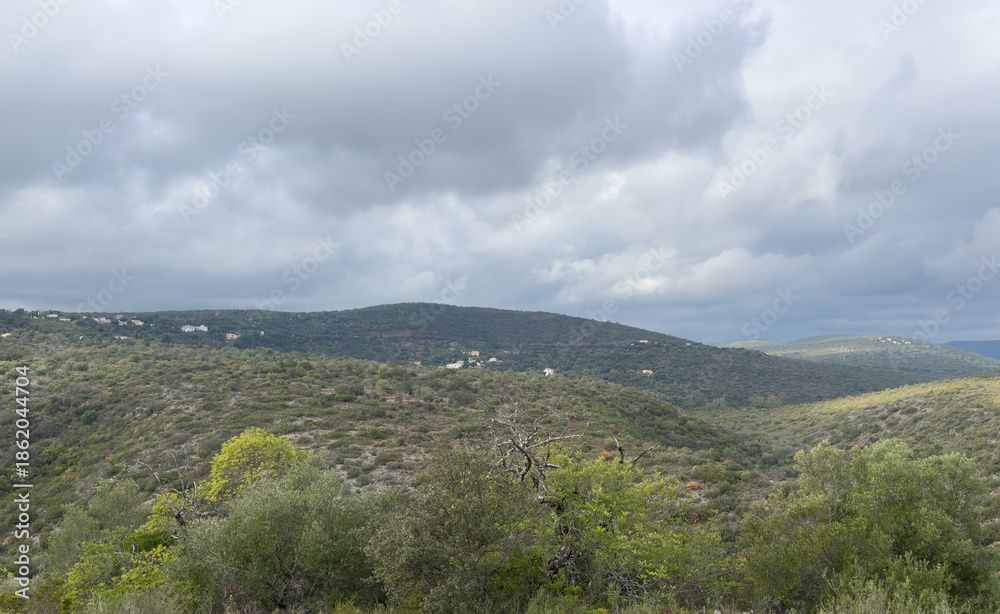 Obraz premium A green hilly landscape under a cloudy sky