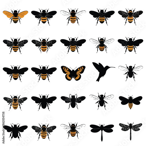 Collection of bee, butterfly, hummingbird, and dragonfly silhouettes on white background vector
