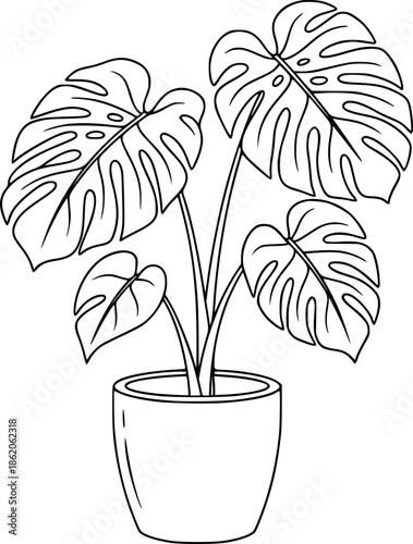 Monstera deliciosa plant in a pot, simple line drawing, botanical illustration.