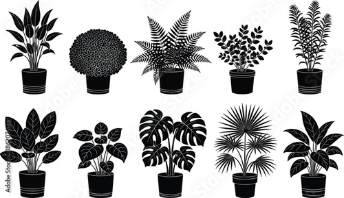 indoor plant silhouettes, houseplant icon set, botanical black vectors, potted tropical foliage collection, minimal flat nature illustration design pack