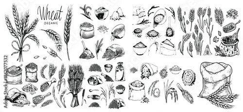 Rice set, bag, wooden bowl, spatula, spoon, handful of rice, wooden bowl. Grains in sack and scoop vector set