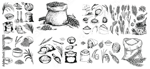Rice set, bag, wooden bowl, spatula, spoon, handful of rice, wooden bowl. Grains in sack and scoop vector set