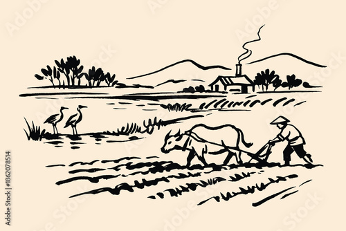 Rice field plowing with water buffalo ink sketch vector illustration