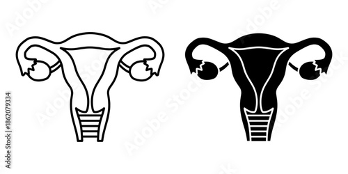 Female Reproductive System Vector Illustration