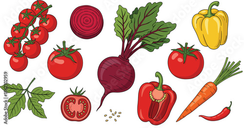 Fresh vegetable vector set featuring red cherry tomatoes whole beetroot yellow bell pepper carrot and chili pepper isolated on white background for cooking.