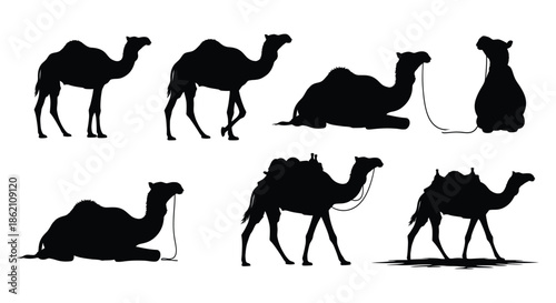 Collection of camel silhouettes showcasing various poses and actions in a graphic design.