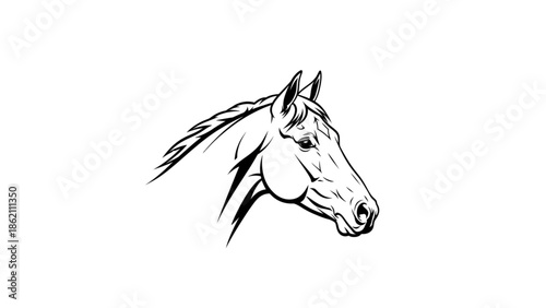 Athletic Thoroughbred Horse Head Monochrome Illustration
