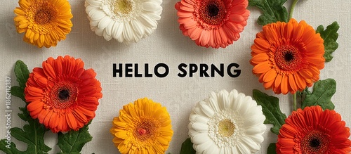 Colorful daisy flowers and green leaves arranged around the words "HELLO SPRNG