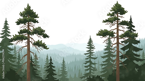 Modern vector watercolor-style forest wallpaper with large pine trees and distant hills, spacious nature background with copy space for interior and branding use