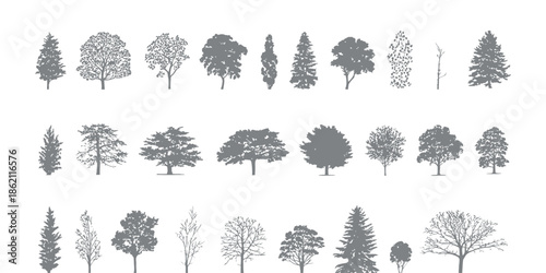 Set of Detailed Tree Silhouettes Including Coniferous and Deciduous Species for Landscape and Architectural Design