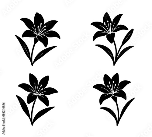 4 lily illustration icons, silhouette, transparent background