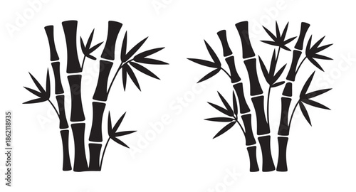 Asian bamboo forest silhouette illustrations for japanese zen garden and chinese cultural concepts