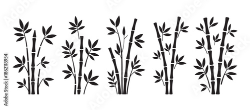 Black bamboo plants with leaves on branches isolated on white background collection of vector design