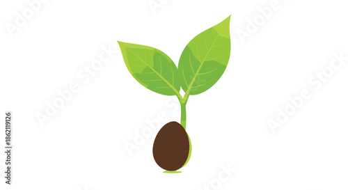 Green sprout with two leaves growing from a dark brown seed representing new life growth and environmental care.