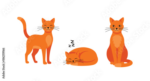 Group of three orange tabby cats in different poses including standing, sleeping, and sitting, cute feline character set for pet lovers.