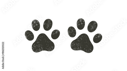Two dark paw prints with visible toe pads and a textured surface