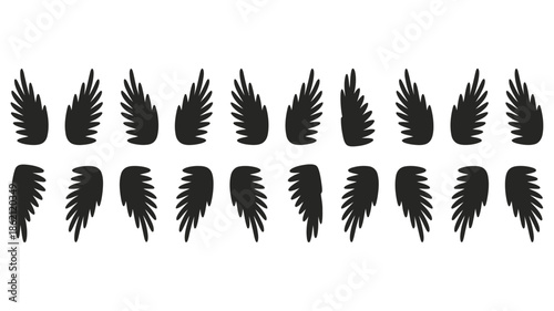 A collection of stylized black feather illustrations arranged in neat rows