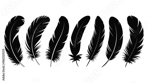 A collection of black feathers displayed in a simple graphic arrangement