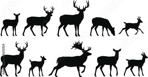 Astronomy observer silhouettes using telescopes isolated on white background showing stargazing science education exploration discovery and space research concept illustration