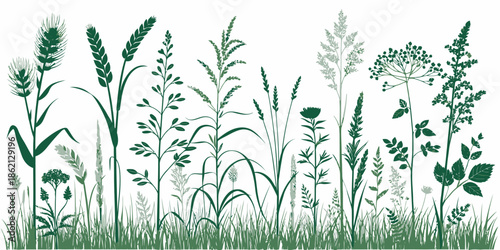 Variety of wild grasses and plants in green hues