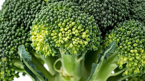 Close-up shot of a fresh green broccoli head, showing its intricate texture and vibrant color.